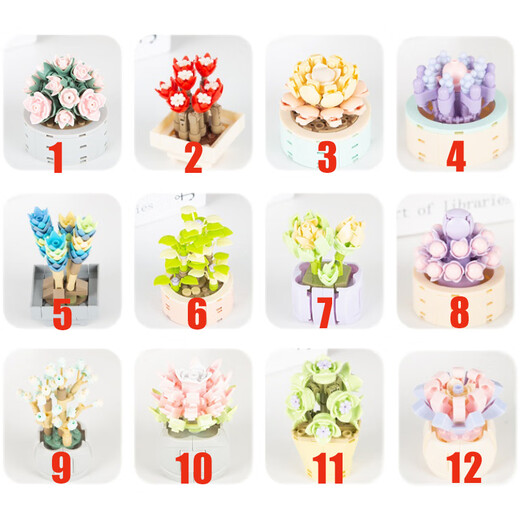 Mu Wangxing est compatible avec LEGO Jiaqi China Mini Succulent Pot Blocy Blocs Toys Girl Série Eternal Flower Teacher's Day's Lover XJ-10975 (B) Ju Huangyu