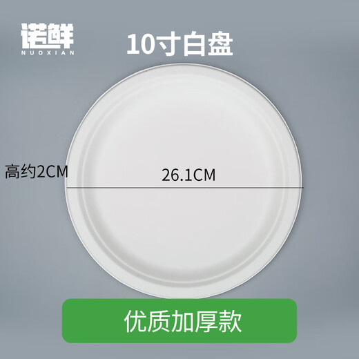 Nuoxian disposable paper plate kindergarten handmade DIY painting cake barbecue dinner plate paper plate large paper plate 12-inch 10-inch white round plate 20 pieces