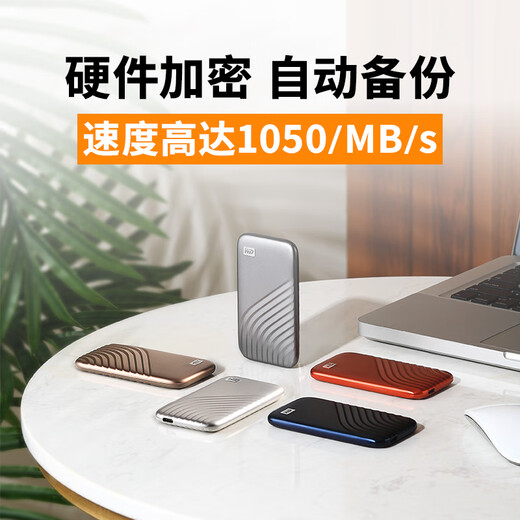 西部数据（WD） NVMe 移动固态硬盘（PSSD）My Passport随行SSD type-c接口 1050MB/s 星河银-(传输速度1050MB/s） 2TB( 官方标配)