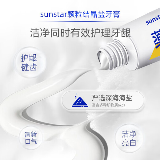 SUNSTAR药用海盐咸味护龈牙膏170g预防牙菌斑缓解出血 日本进口