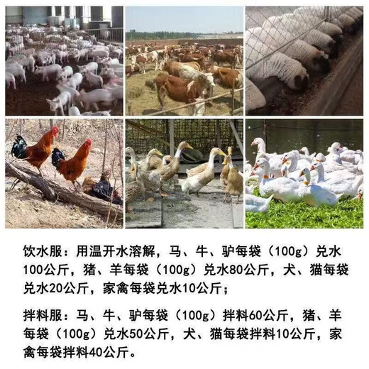 Fast selling veterinary isatis granules pig, beef, sheep, chicken, duck and goose feed additive for clearing away heat, detoxifying, cold, fever, reducing swelling and soothing throat, 10 packs, get 2 packs free (12 packs for real delivery)