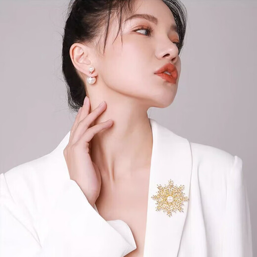 Givenchy Givenchy light luxury brooch Women's high-end jewelry Valentine's Day Anniversary birthday gift for girlfriend and wife Snowflake brooch Exclusive luxury gift box