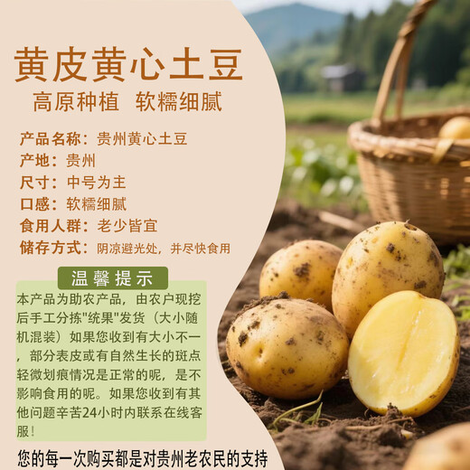 Grandma Qian's fresh potatoes and vegetables, Guizhou alpine potatoes, yellow skin and yellow heart, breakfast mashed potatoes, spicy hot pot ingredients, yellow skin potatoes, 5Jin Jin equal to 0.5kg, boxed (net weight)