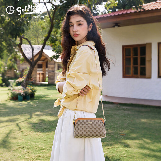 Goldlion Women's Bag New Shoulder Bag Versatile Crossbody Bag Lightweight Clutch Bag Gift for Mom and Girlfriend Brown Brown Small Bag