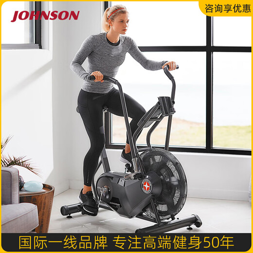 JOHNSON Wind Resistance Spin Bike Schwinn AD6i Fan Bike Belt Low Noise Luxury Home Exercise Bike Black