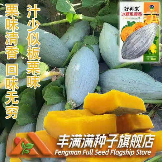 Qizhe rock sugar egg yolk scented pumpkin seeds dry sweet noodles noble ugly melon sweet chestnut pumpkin seeds Northeast golden chestnut rock sugar egg yolk scented pumpkin 5 packs + fertilizer