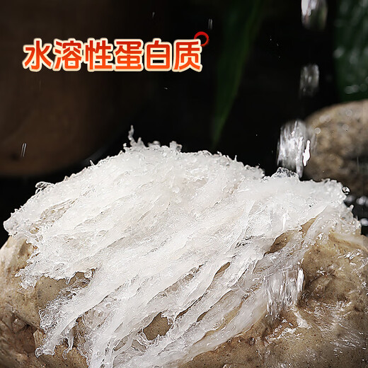 TFTANGFAN 【鲜炖燕窝】浓缩燕窝周套餐50g7瓶无糖孕妇即食燕窝母亲节礼盒 鲜炖燕窝-周套餐