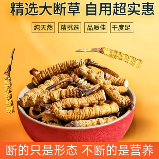 Tíbet Nagqu a alta altitud Cordyceps sinensis Selección Enlace de roto grande Cordyceps Caja de regalo de productos secos genuinos para el uso autoalimentable Asequitable Nagqu de alta altitud carne pura 20 gramos [2 gramos de gratis]