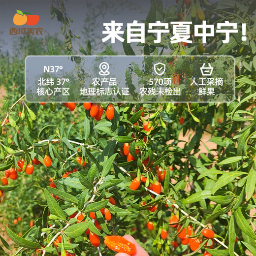 西域美农有机宁夏红枸杞原浆300ml（30ml*10袋）有机认证NFC 礼物礼盒