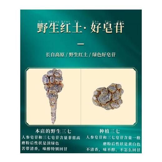 千季芷云南文山道地三七小头子特级煲汤泡酒专用田七小头子养生滋补 特级田七小头子(50个)