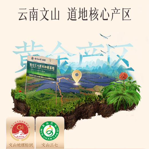 
Yunnan Baiyao Panax notoginseng fine powder 260g*2 Gift box Yunnan Wenshan breaks wall fine powder Dispersing blood stasis to stop bleeding and reduce swelling and pain to nourish and health gift for elders parents
