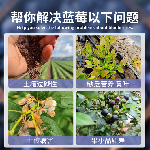 Mu Yunyao special fertilizer for blueberries, citric acid for flowers, special soil acidifier for acid-loving plants, flower preservation and fruit-promoting sulfuric acid, special citric acid for blueberries 500g*4 cans
