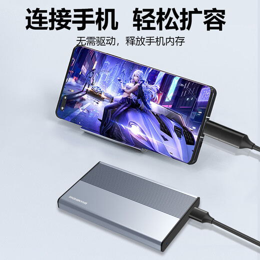 Flash 500 GB mobile Festplatte Typ-C Metall-Hochgeschwindigkeitsfestplatte 2,5 Zoll P2 externer Computer externe Festplatte zum Speichern von Daten, Fotos, Mobiltelefon und Computer mit doppeltem Verwendungszweck, 270 MB/s