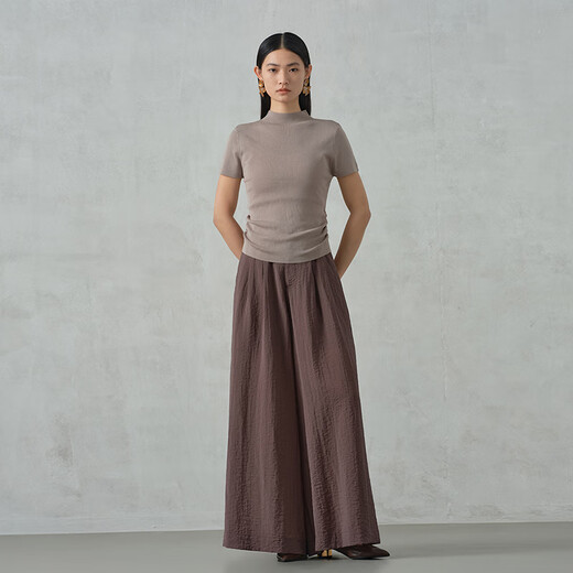 阿依莲【商场同款】半高领短袖针织衫女2025夏季新款修身显瘦别致上衣 冷萃棕 S