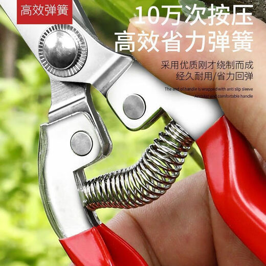 Yanran stainless steel fruit picking scissors, gardening scissors, pruning shears, imported grape pitaya scissors, special scissors for picking pepper, stainless steel fruit picking scissors, 1 pair