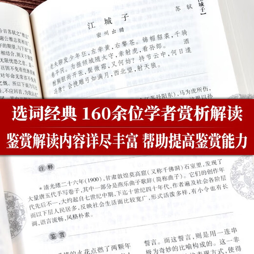 唐诗鉴赏辞典+宋词鉴赏辞典 2本套 商务国际印书馆初高中小学生语文阅读理解写作 可搭现代汉语词典第7版古汉语常用字字典6版牛津高阶英汉双解词典10版古代汉语词典3版2025袖珍小词典