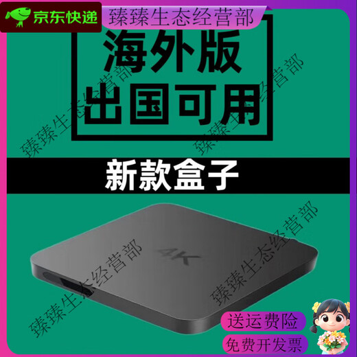 适用于外国的盒子wifi616G国外版无线WiFi网络高清播放器 32G海外版(出国使用) 套餐三 欧标插头