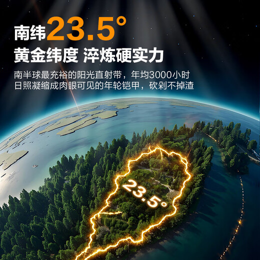 Made in Tokyo, cutting board, chopping board, household double-sided solid wood antibacterial, ebony solid wood, 40*27*2.5cm