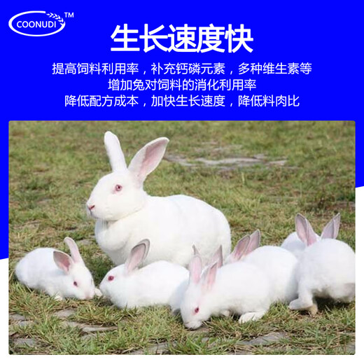 Zhengzhou Kangdi 4% Rabbit Premix Baby Rabbit Breeds Fast-growing Meat and Strong Bones Rabbit Rex Rabbit Belgian New Zealand Rabbit Early Stage (Starting Food-50 Days Old)