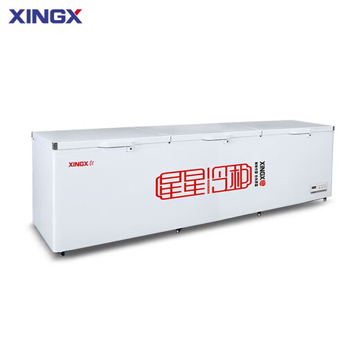 星星(XINGX)冰柜商用大容量全冷冻全冷藏冷柜卧式冰箱单温718g一级能效保鲜冷藏柜速冻柜BD/BC-718G
