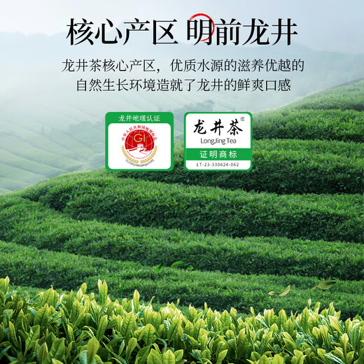 成西湖龙井茶绿茶特级明前茶叶2025新茶春茶嫩芽250g礼盒装送长辈领导