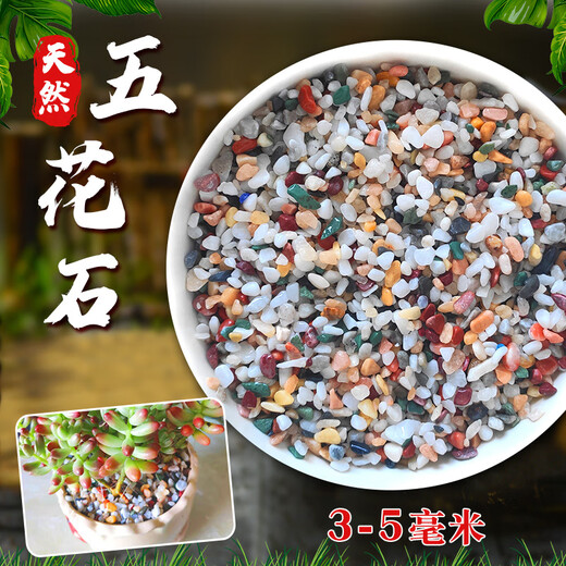 Runhua Nian Pure Rain Flower Stone Potted Succulent Pavement Stone Small Multicolored Stone Fish Tank Pavement Ornamental Stone Colorful Small Stone Multicolored Stone 3-5mm 5.2Jin Jin equals 0.5kg (hot)