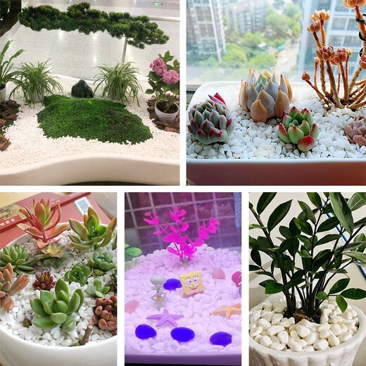 Runhuanian multi-succulent pavement stone flower cultivation small white pebbles pebbles rain flower stone fish tank landscaping potted courtyard paving 5Jin Jin is equal to 0.5kg fine snowflake white 1-3mm 1 capsule trial pack