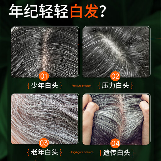 OSXE德国进口原料何首乌洗发水侧柏叶黑灵自然植萃滋养控油去屑2瓶装