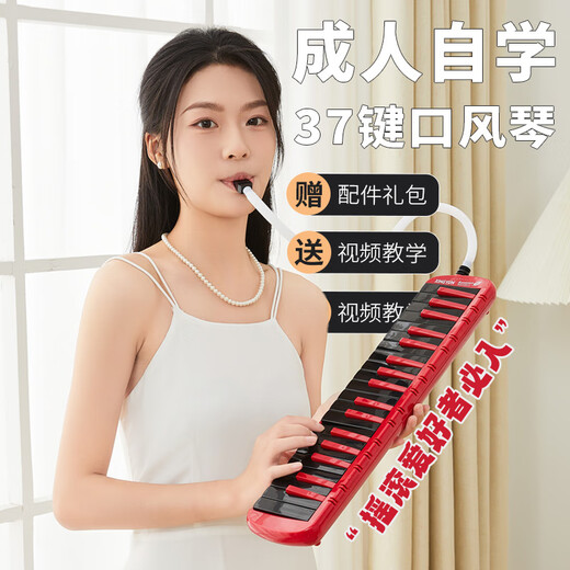 孔声37键口风琴学生课堂教学初中生专用成人演奏款吹管乐器F-37W白色