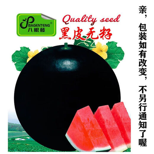 Qizhe black-skinned seedless watermelon seeds, super sweet, high-yielding, thin-skinned, red-heart, extra-large watermelon seeds, vegetable and fruit seed larvae for all seasons, selected grains, 1 pack of about 40 seeds, new black-skinned seeds