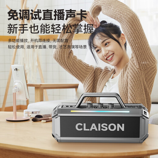 CLAISON Voice of Berlin Bluetooth speaker high-quality audio microphone integrated sound card square dance home KTV set outdoor karaoke portable high-power subwoofer gray single microphone 300W丨shocking sound effect