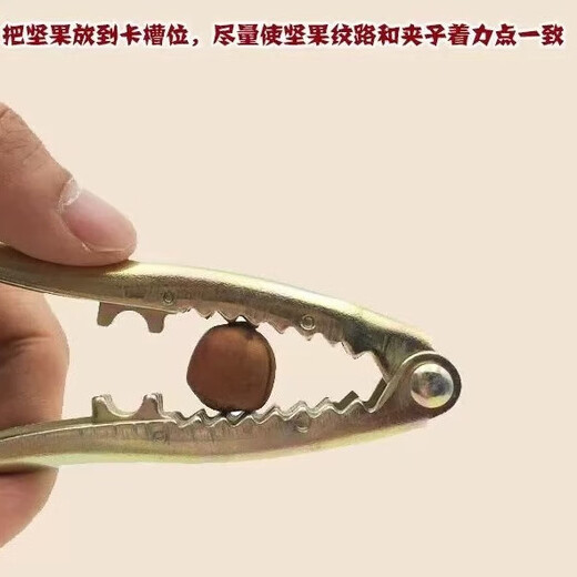 Jieyi hazelnut clip artifact hazelnut clip pine nut opener pine nut clip nut clip nut shell opener walnut clip 1 dried fruit clip