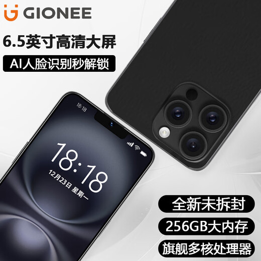 Gionees neuer 256 GB Octa-Core-Smartphone Ultra-dünner Batterielebensdauer Full Network Access verfügbar 5G Karten WeChat 8-Open 6,5-Zoll-Leinwand mit älteren Jahren ältere Computerstudent Backup-Backup-Backup-Black 8-Core + 32 GB