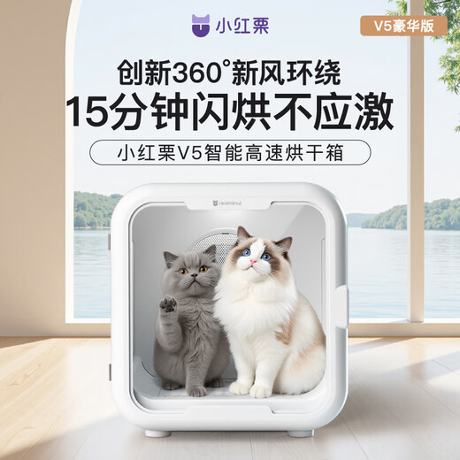 Xiaohongli Pet Drying Box Smart Cat Dryer Dog Fully Automatic Hair Dryer Silent Blow-Drying Water Artifact Blow Hair Xiaohongli Pet Drying Box Smart Cat Dryer Dog Fully Automatic Hair Dryer Silent Blow-Drying Water Artifact Blow Hair