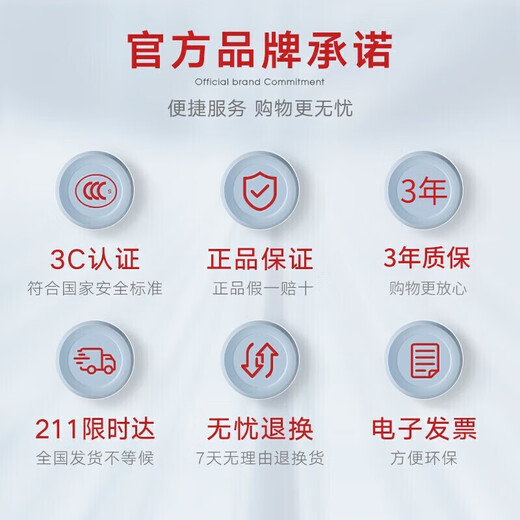 Delixi electrical leakage protection plug high power wiring household 10A