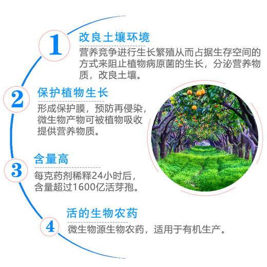 Zhongbao Bacillus subtilis 100 billion spores/g bio-organic green gray mold sheath blight pesticide fungicide 50g