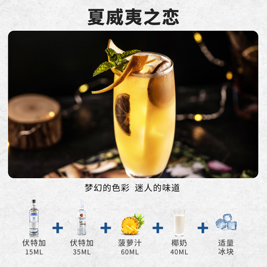 FAST.KING洋酒伏特加生命之水调酒基酒40度伏特加烈酒套装组合700ml 【伏特加+白朗姆700ML】