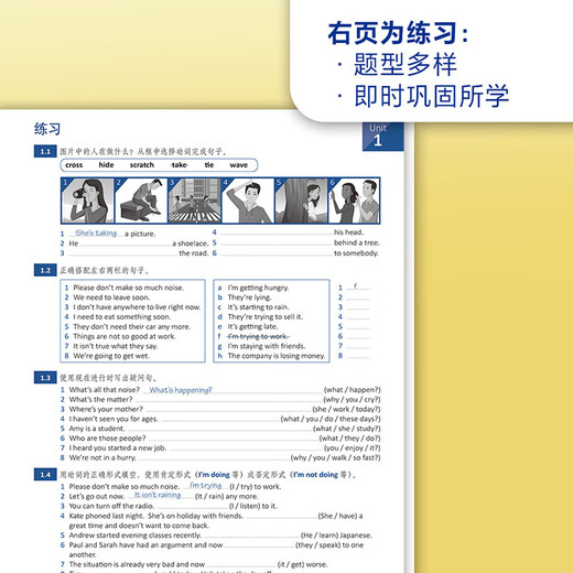 Kostenloses Video-Tutorial zur Cambridge Intermediate English Grammar, fünfte Auflage, chinesische Version, English Grammar in Use, English in Use