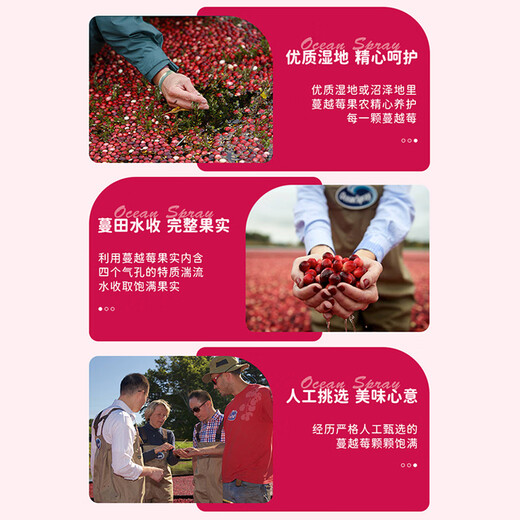 
OceanSpray Chile imported dried cranberries, dried candied fruits, baking ingredients and snacks, original flavor 680g