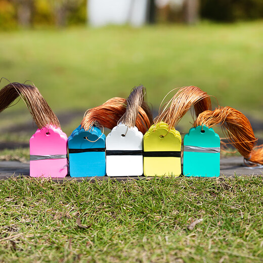 BENXINNONG (BENXINNONG) 100 sheets of rope plastic labels plant tags gardening potted small hanging tags succulent labels marking signs HXM 6x4cm green 100 sheets in a bundle