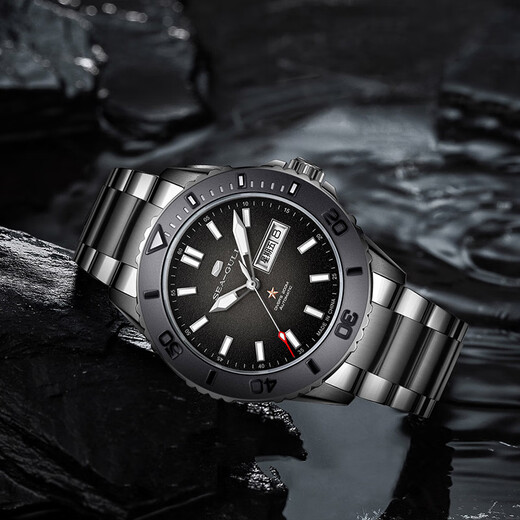Seagull Seagull Ceramic Automatic Mechanical Watch Sport Ocean Serie Schwimmen wasserdichte Tauchwache Herrenuhr 1047H 1047H