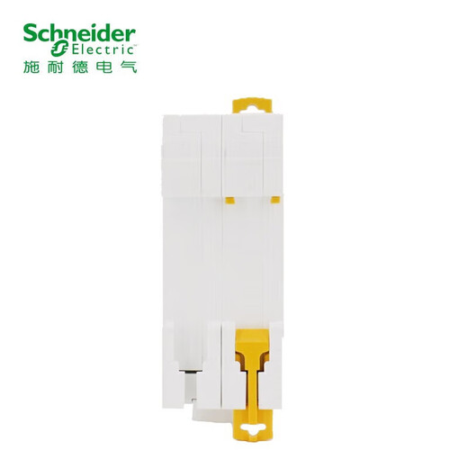 Schneider air switch A9 IC65N 2P double in and double out D type 10A household protection circuit breaker A9F19210