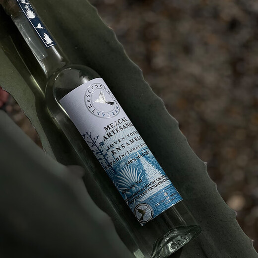 L'extraordinaire oiseau mezcal mézcal tequila tequila mezcal mexicain spirits importés 700 ml tequila mezcal sélectionnée à la main 700 ml