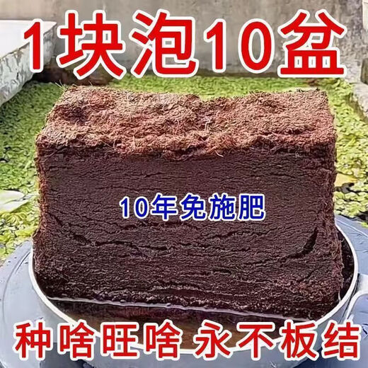 High foaming coconut brick nutritious soil compressed coconut bran desalination general soil for growing vegetables and flowers planting large pieces of coconut bran soil 2 coconut bricks high quality/high nutrition/high foaming