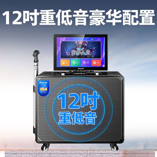 Philips Home KTV Audio Set Square Dance Video Audio mit Display Screen Karaoke Gesangsmaschine Audioverstärker All-In-Outdoor Praktisch Live TV K Song Bluetooth-Lautsprecher [Hot Product] 12-Zoll-Bass + 17-Zoll-Bildschirm + Metallmikrofon