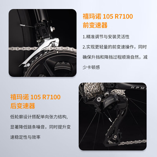 SAVA SAWA FALCON SLR7S FILLE FIBRE DE CARBONE R7170 TRANSMISSION ELECTRONIQUE VÉLO HIET PURE DISC PURE COMPACTION DE CONCONTATION PANDA PANDA COULEUR-SLR7S-R7120-24S-OIL Brake 490-XS [Hauteur suggéré 160cm-165cm]