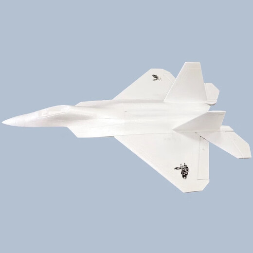 Avión de combate Suze F22 Raptor de 64mm con conductos EPO, avión de control remoto, modelo de avión de gran tamaño, ala fija, avión vacío, F22-64 con conductos