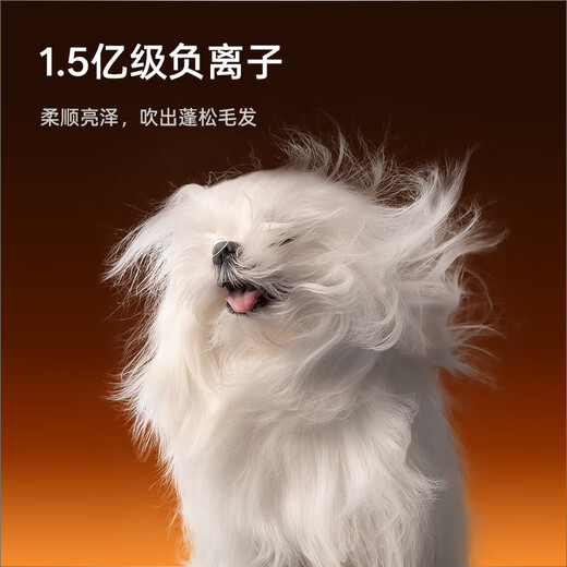 Jirpet Caja de secado para mascotas C7S Jier Agua de barrido Cámara de secado rápido Secador para perros y gatos Secador de pelo de tres sopladores de iones negativos Agua de barrido de 170 litros Cámara de secado rápido-C7s