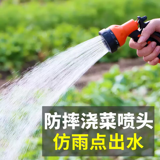 aolalbom奥莱邦12V充电式抽水泵电动小型家用抽水机自动浇菜神器浇水机 A826续航王+10米管 产品清单在第二张主图