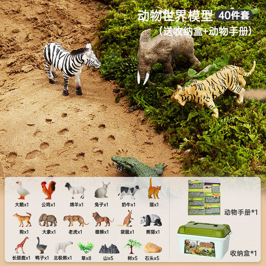 Bainsshi Children's Toys Animal World Boys Puzz Puzz Modèle Set Rangement Boîte d'anniversaire Gift 40 Pieces